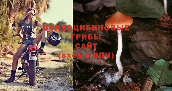 a pvp Арсеньев