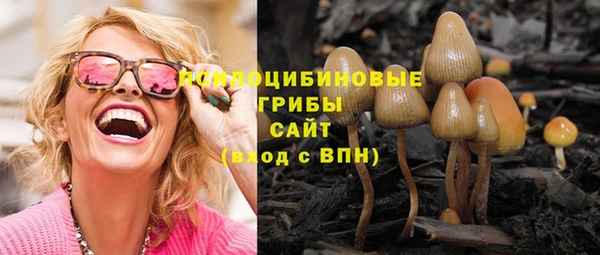 ГАЛЛЮЦИНОГЕННЫЕ ГРИБЫ Армянск