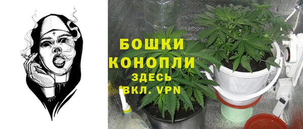 ГАЛЛЮЦИНОГЕННЫЕ ГРИБЫ Армянск