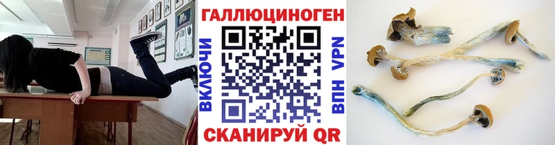 mega   что такое наркотик  Ахтубинск  Галлюциногенные грибы мицелий 